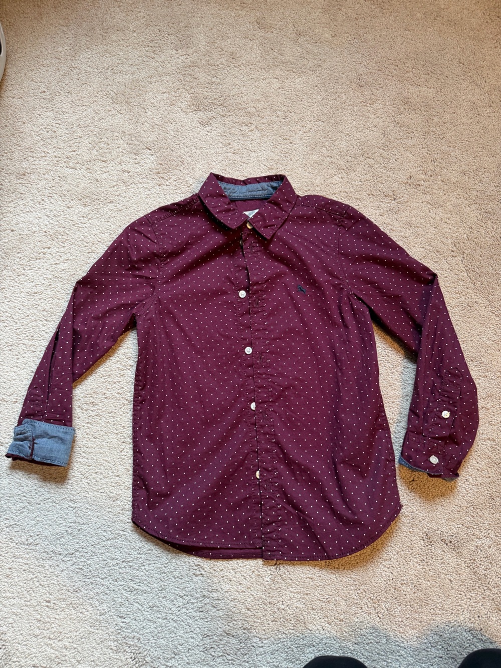 Kids Maroon Dot Button-Down Shirt